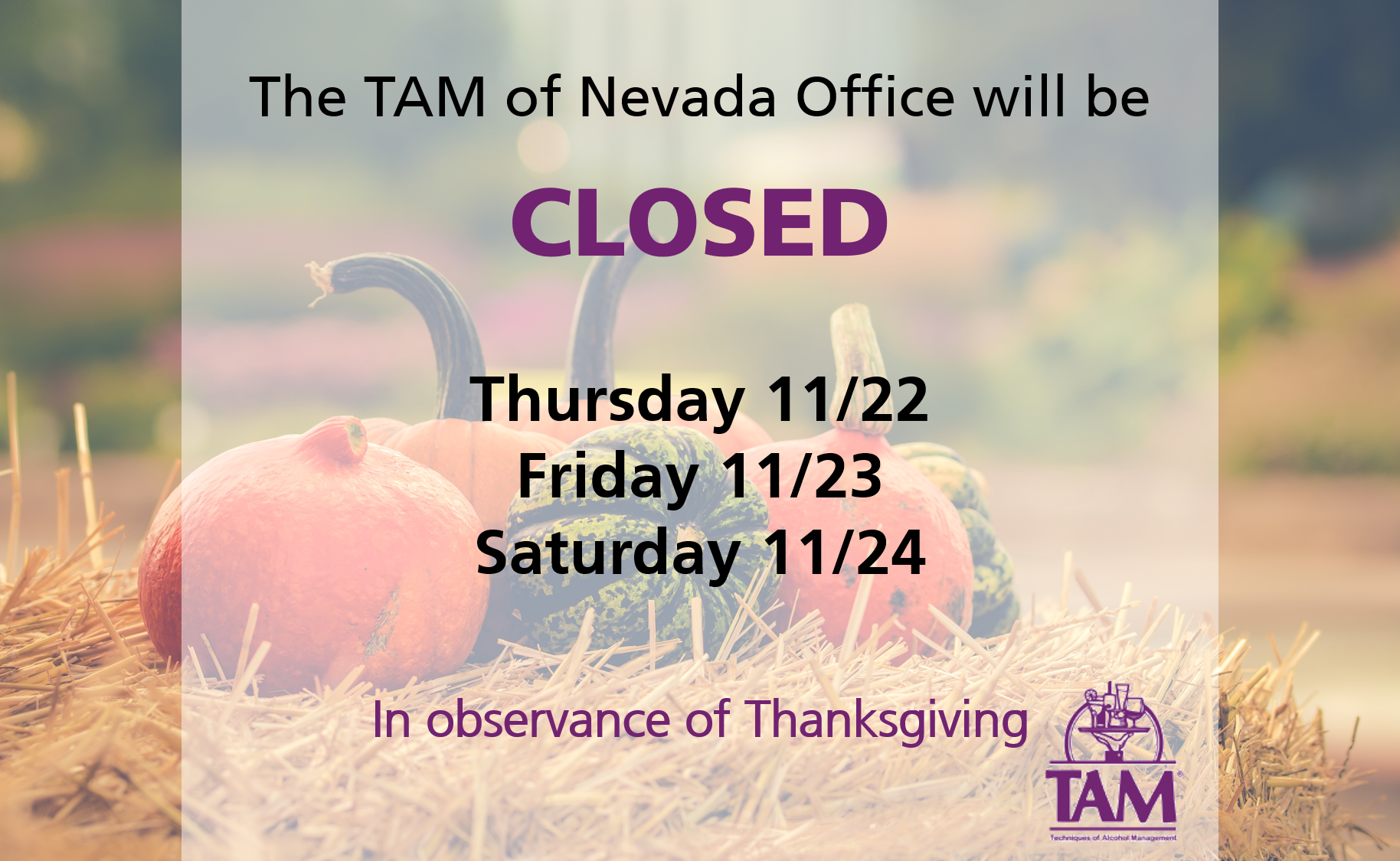 TAM office thanksgiving
